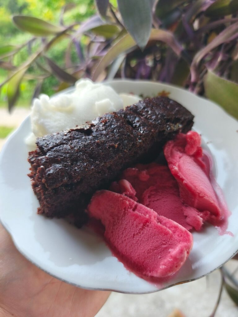 Čokoladna torta iz bučk s sladoledom